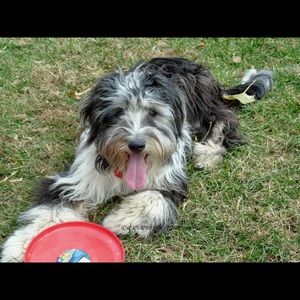 Meet your Posher, Cathy